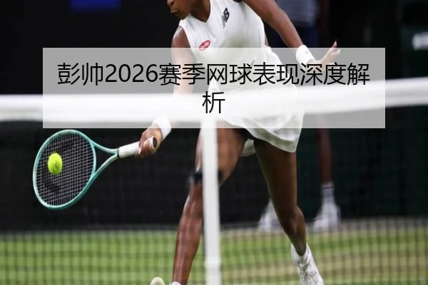 彭帅2026赛季网球表现深度解析